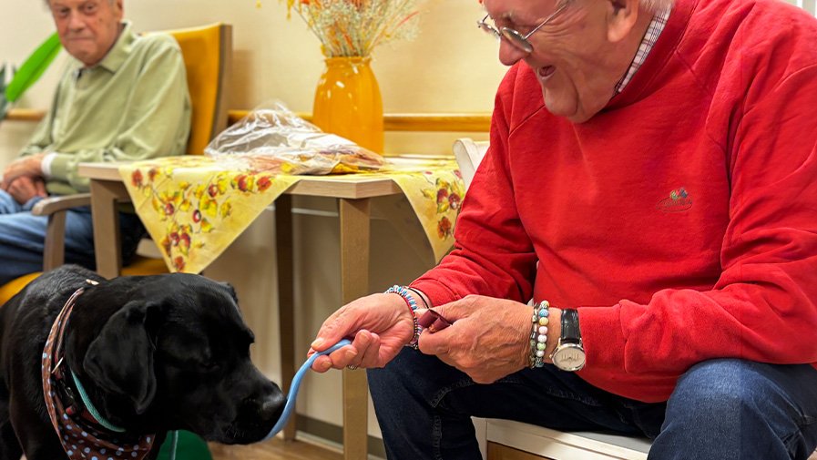 Herzensbrecher Balu in der B&ouml;lschestrasse