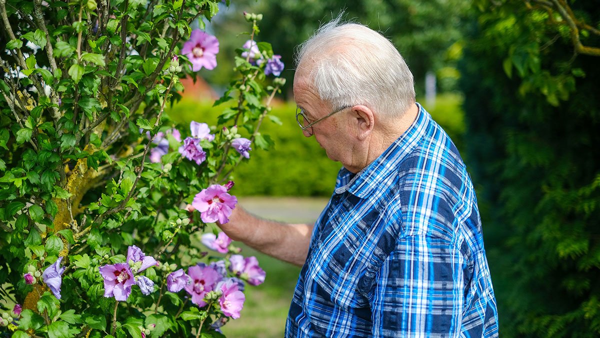 Senior im Garten des Service-Wohnen des Seniorenwohnparks Nächst Neuendorf