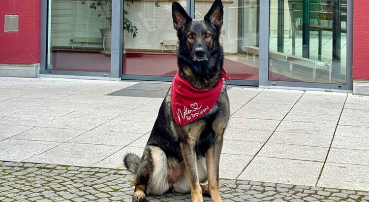 Teamverst&auml;rkung in Potsdam