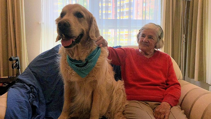 Besuchshund Quinn im Havelpalais