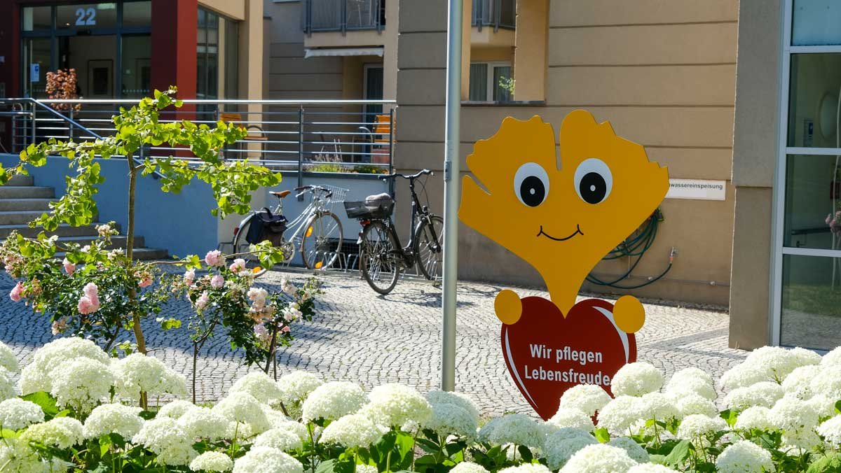 Ginkgo vor dem Standort Service-Wohnen in der Seniorenresidenz Park Sanssouci