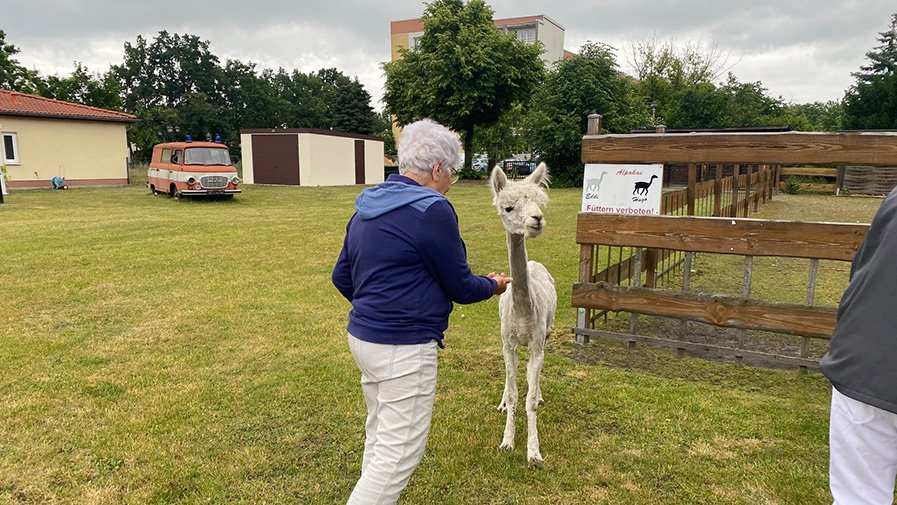 Frisch &bdquo;herausgeputzt&ldquo; in Senftenberg