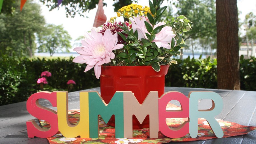 Sommernachmittag in Senftenberg