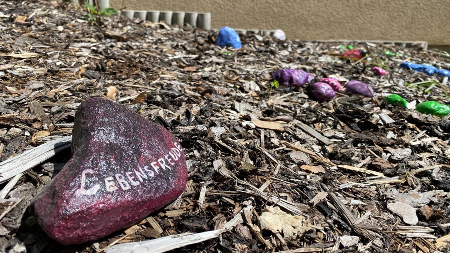 Alles bunt macht der Mai in Senftenberg