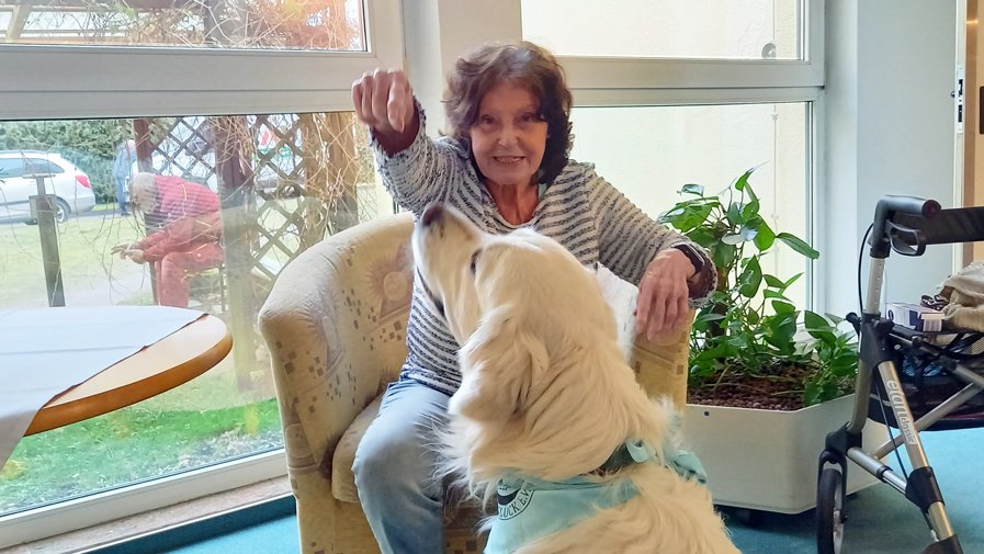 Herzensbrecher Balu in Strausberg